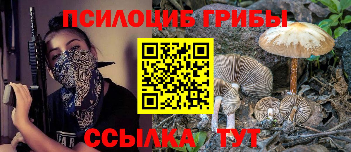 Псилоцибиновые грибы Psilocybe Шарыпово