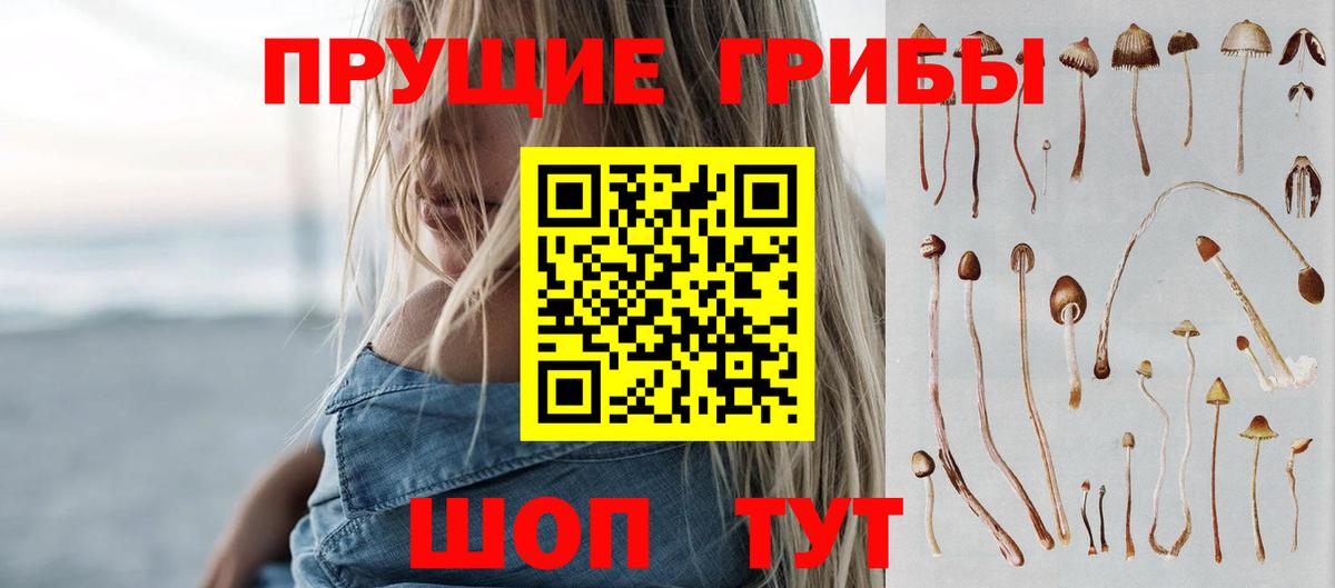 Шарыпово  Псилоцибиновые грибы прущие грибы  Вход с VPN  Псилоцибиновые грибы мухоморы 